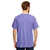 Hanes Men's Grape Triblend X-Temp Triblend T-Shirt