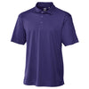 Color Purple