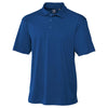 Color Royal Blue