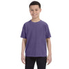Comfort Colors Youth Grape 5.4 Oz. T-Shirt