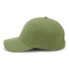Paramount Apparel Cactus Garment Washed Cap