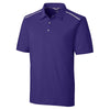 Color Purple