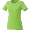 Color Light Green
