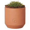 Modern Sprout Terracotta Tiny Terracotta Grow Kit Thank You Daisies