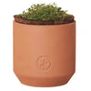 Modern Sprout Terracotta Tiny Terracotta Grow Kit Grow Kit Champagne Poppies