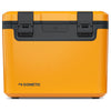 Color Mustard