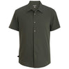 Color Olive