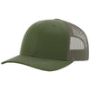 Color Olive