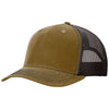 Color Brown