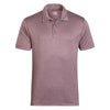 Color Maroon