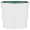 ETS Express Sage Cavetto 11oz Ceramic Mug