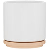 ETS Express Vanilla Blume 22oz Ceramic Planter