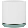ETS Express Meadow Blume 22oz Ceramic Planter