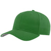 Color Kelly Green