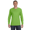 Color Light Green