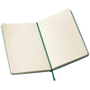 Moleskine Oxide Green Hard Cover Ruled Large Notebook (5