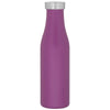 H2Go Matte Grape 16.9 oz Carina Stainless Steel Bottle