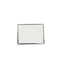 BCG Silver Digistock Lapel Pins: 1 1/4