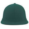 Color Dark Green