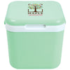 Color Light Green