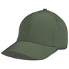 Color Olive