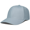 Color Pewter