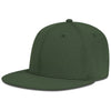 Color Olive