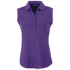 Color Violet