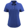 Color Cobalt