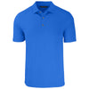 Color Cobalt