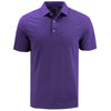 Color Purple