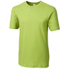 Color Light Green