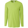 Color Light Green