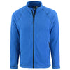 Color Royal Blue