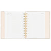 Sugar Paper Flax and White Dot Address Book