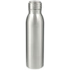 Bullet Silver Vida 24oz Stainless Steel Bottle