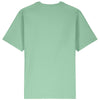 Stanley/Stella Unisex Misty Jade Freestyler Heavyweight Tee