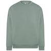 Color Light Green