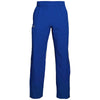 Color Blue