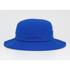 Color Royal Blue