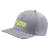 Color Light Grey