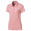 Color Light Pink