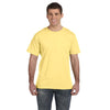 Color Lemon
