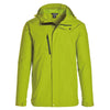 Color Light Green