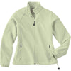 Color Light Green