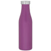 H2Go Matte Grape 16.9 oz Carina Stainless Steel Bottle
