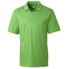 Color Light Green