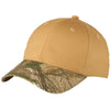 Color Light Brown