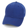 Color Royal Blue