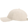 Paramount Apparel Stone Patriotic Sandwich Cap